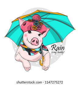 Vector pig with umbrella, pink hat and  scarf. Hand drawn illustration of dressed piggy.