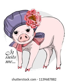 Vector pig with violet hat, flower and knitted  scarf. Hand drawn illustration of dressed piggy.