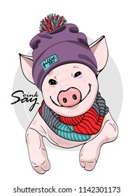 Vector pig with violet hat and knitted scarf. Hand drawn illustration of dressed piggy.