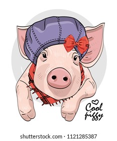 Vector pig with violet hat and scarf. Hand drawn illustration of dressed piggy.