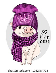 Vector pig with violet knitted hat, crown and scarf. Hand drawn illustration of pig.