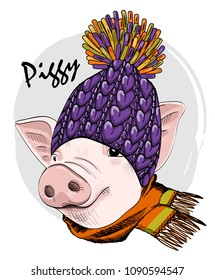 Vector pig with violet knitted hat and orange scarf. Hand drawn illustration of dressed piggy.