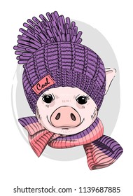 Vector pig with violet knitted hat and  scarf. Hand drawn illustration of dressed piggy.