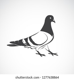 Vector of Pigeon design on white background., Bird Icon., Wild Animals. Easy editable layered vector illustration. 