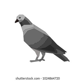 vector of pigeon illustrations