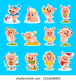 Vector pigs illustration sticker set pigs for 2019 with the Chinese symbol New Year Pig