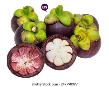 Vector pile of fresh mangosteen isolated on white background.The Queen of fruits