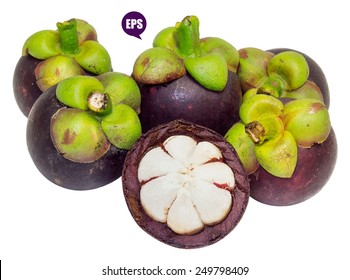 Vector pile of fresh mangosteen isolated on white background.The Queen of fruits