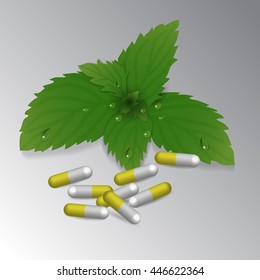 vector pills and mint with drops on white