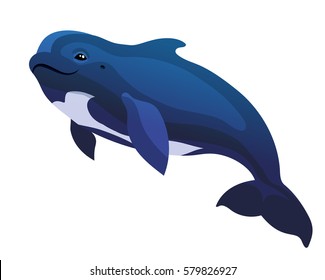 Vector pilot whale black dolphin Globicephala under water mammal