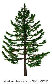 Vector pine