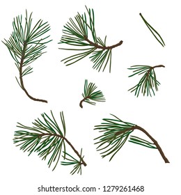 Pine Needles Drawing Images Stock Photos Vectors Shutterstock