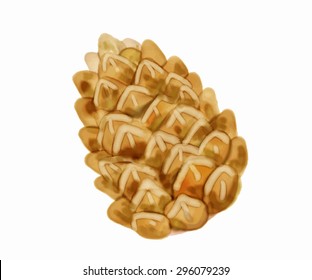 Vector pine cone 