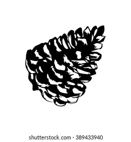 Vector pine cone