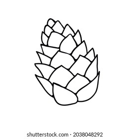 Vector pine cone in doodle style. Hand drawn outline illustration, clipart, design element isolated