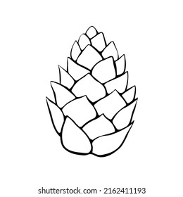 Vector pine cone in doodle style. Hand drawn outline illustration, clipart, design element isolated