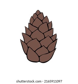 Vector pine cone. Hand drawn outline illustration, clip art, design element isolated. Theme of nature, forest