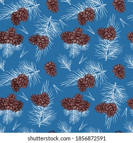 Vector Pine Cone pattern seamless, hand drawing sketch illustration. Design elements for card holiday decor. Botanical color illustration pine cone, cedar. Vintage engraved graphic.