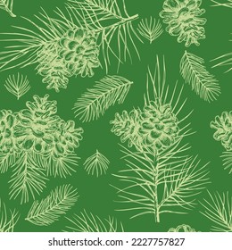 Vector Pine Cone seamless pattern. Hand drawing sketch illustration. Botanical illustration pine cone, cedar. Vintage engraved graphic. New Year and Christmas holiday decor.