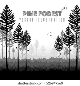 Vector pine forest landscape. Beautiful hand drawn illustration - dark forest with pine trees, outdoor scene with text. Made using clipping mask, you can change image