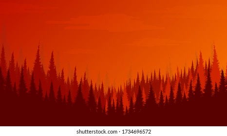 Vector Pine Forest,landscape background,sunshine and sunrise concept design.