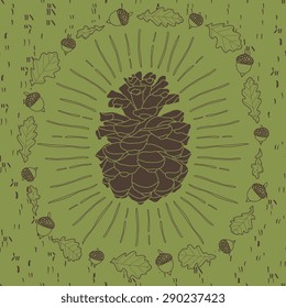 Vector pine illustration with acorns and leafs