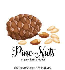 Vector pine nuts in cartoon style for template label, packaging snackand emblem farmer market design