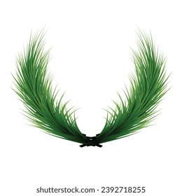 Vector pine tree branch christmas garland green fir twig.