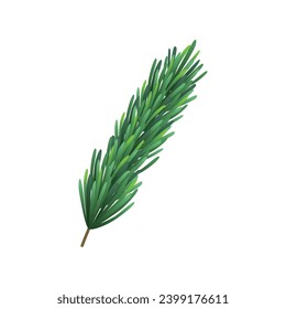 Vector pine tree branch fir twigs with green needles on white