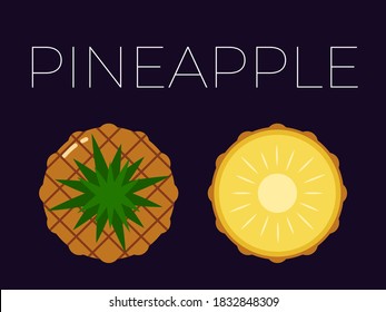 Vector of Pineapple, Ananas and sliced half of Pineapple, Ananas on dark background