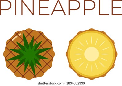 Vector of Pineapple, Ananas and sliced half of Pineapple, Ananas on white background