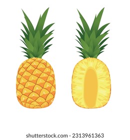 vector pineapple cut and whole. whole pineapple with green top and half pineapple in flat style
