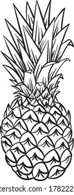 Vector pineapple front view exotic