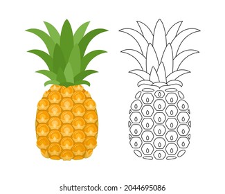 Vector pineapple fruit color cartoon illustration and outline black and white icon.