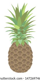 Vector pineapple fruit flat colorful illustration
