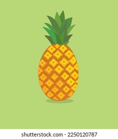 vector pineapple green background fruit