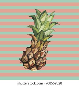 Vector Pineapple hand drawn sketch. Watercolor vector tropical food illustration.