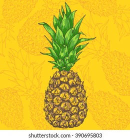 Vector pineapple illustration, hand drawn ananas sketch with yellow background. Summer juicy fruit