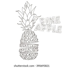 Vector pineapple illustration, hand drawn cutted ananas outlines sketch. Summer juicy fruit