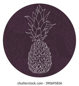 Vector pineapple illustration, hand drawn ananas sketch with silhouettes. Summer juicy fruit