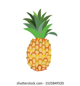Vector pineapple illustration, isolated on white background. Pineapple icon is  in cartoon, flat art style. Illustration is ready for your design, print, web. EPS10