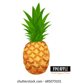 Vector pineapple. Illustration pineapple tropical fresh fruit in cartoon style.