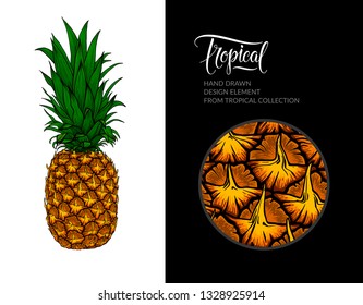 Vector pineapple isolated on white background. Tropical hand-drawn exotic fruit illustration for summer poster, pineapple juice packaging, textile design, beach party decoration, beach bar sign