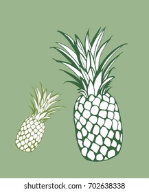 Vector. Pineapple on a green background.