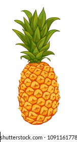 Vector pineapple on a white background