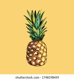 Vector Pineapple on yellow background.Summer fruits, for a healthy and natural life