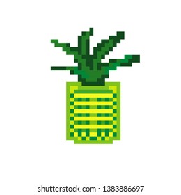 vector pineapple pixel art color