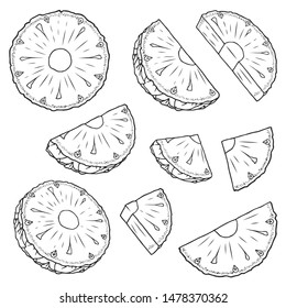 Vector pineapple slice transparent line art illustrations