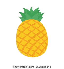 vector pineapple Sweet fruit for summer time