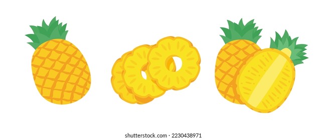 vector pineapple Sweet fruit for summer time